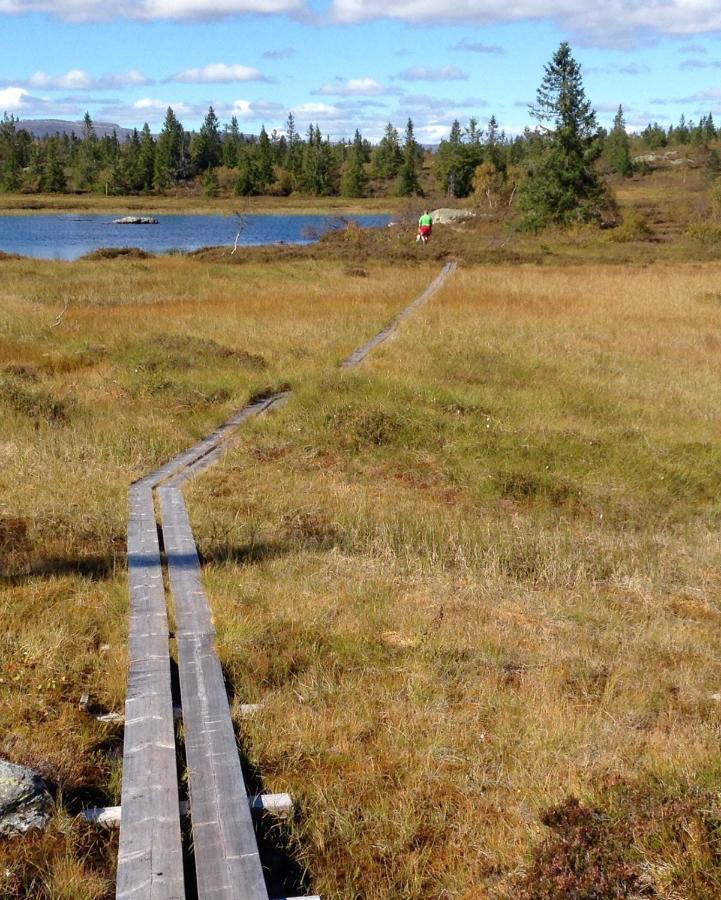 Blefjell Lodge Lampeland Экстерьер фото